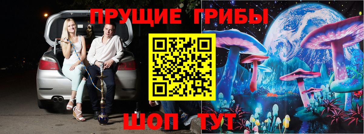 Галлюциногенные грибы Psilocybine cubensis Салехард