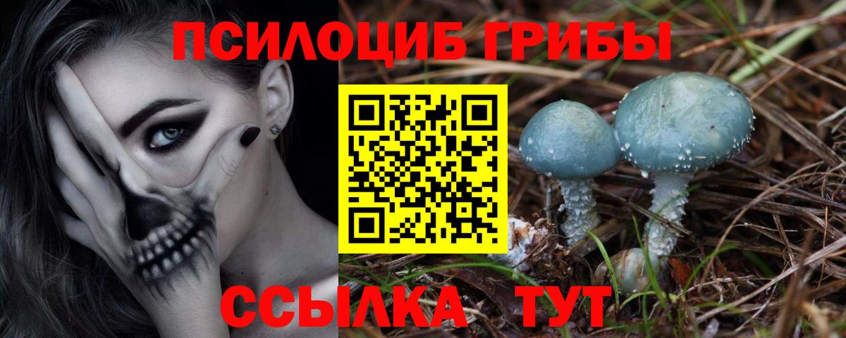 Псилоцибиновые грибы мухоморы  Галлюциногенные грибы Magic Shrooms  Вход с VPN  Салехард 